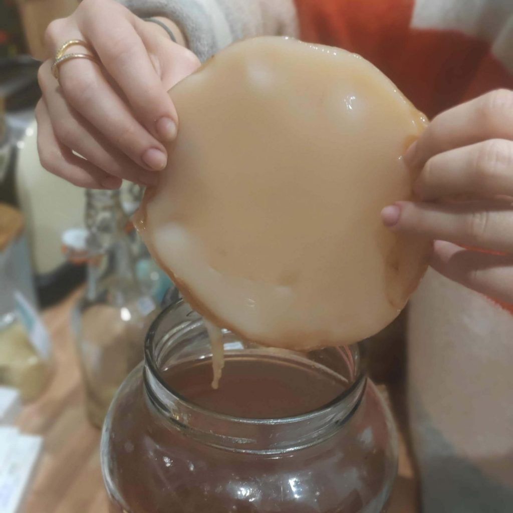 Scoby