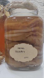 Hotel scoby