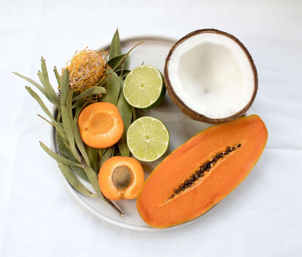 ceviche vegano
