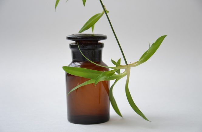 hidrolato
