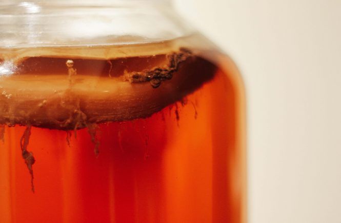 Kombucha